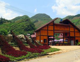 Bac Ha Flower Valley